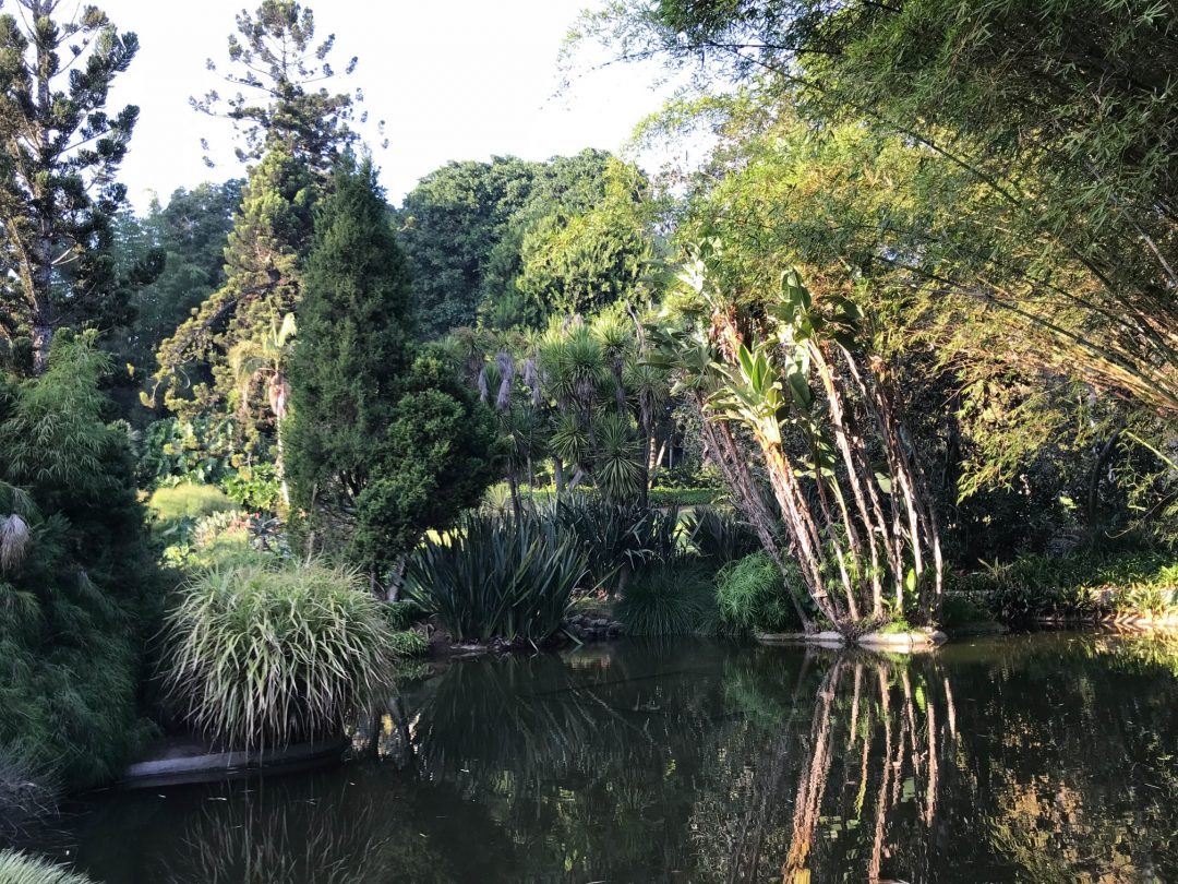 La magia indescriptible de los jardines Huntington (USA) - Histambar