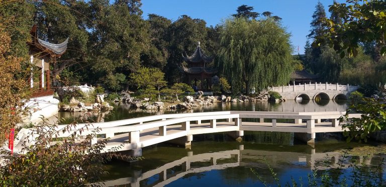 La magia indescriptible de los jardines Huntington (USA) - Histambar