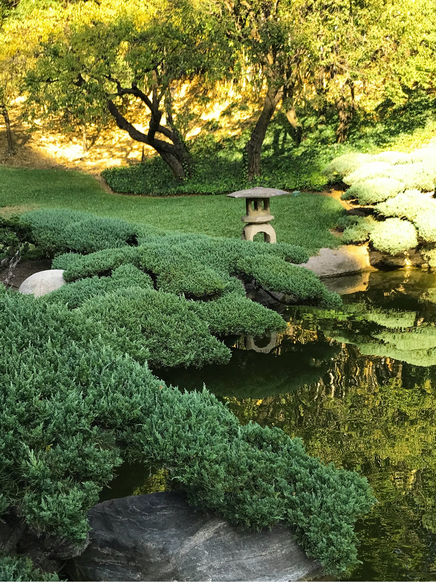 La magia indescriptible de los jardines Huntington (USA) - Histambar