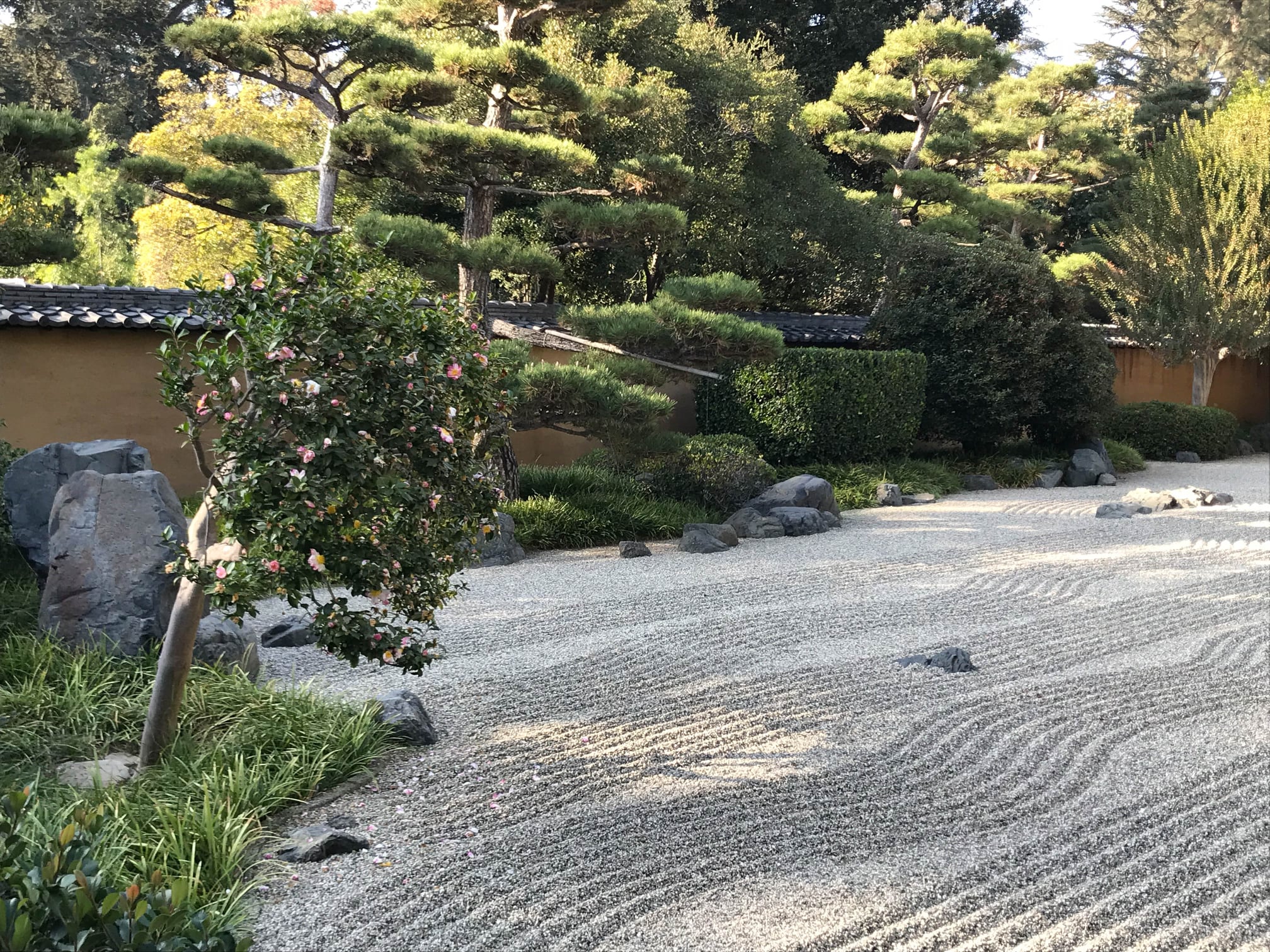 La magia indescriptible de los jardines Huntington (USA) - Histambar