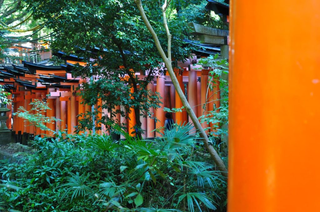 Fushiri Inari